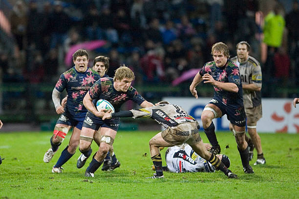 我们观察到 我们观察到