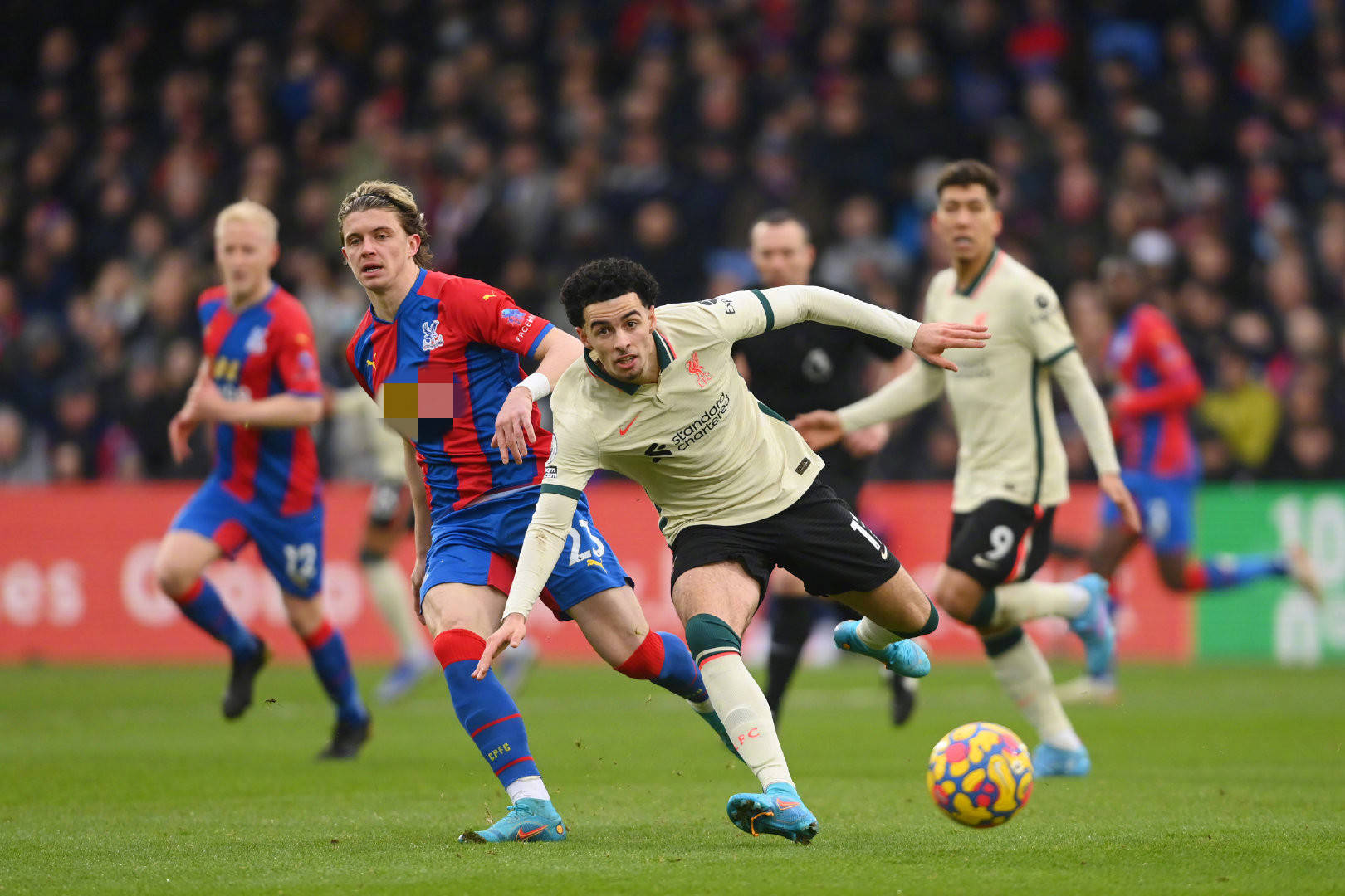 年轻而有活 年轻而有活